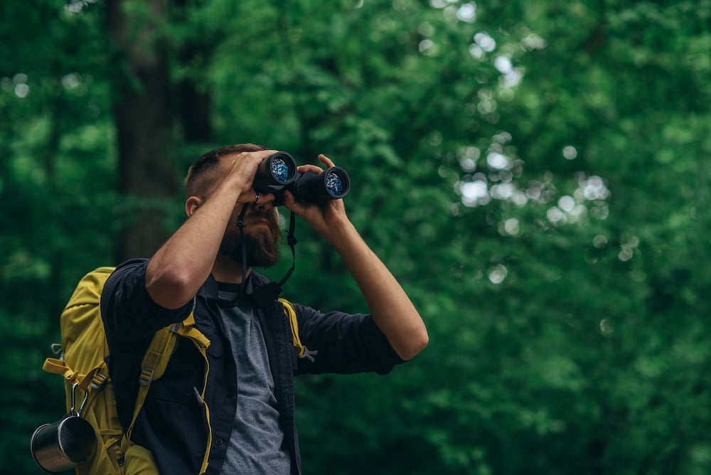 A man looks through binoculars in a forrest