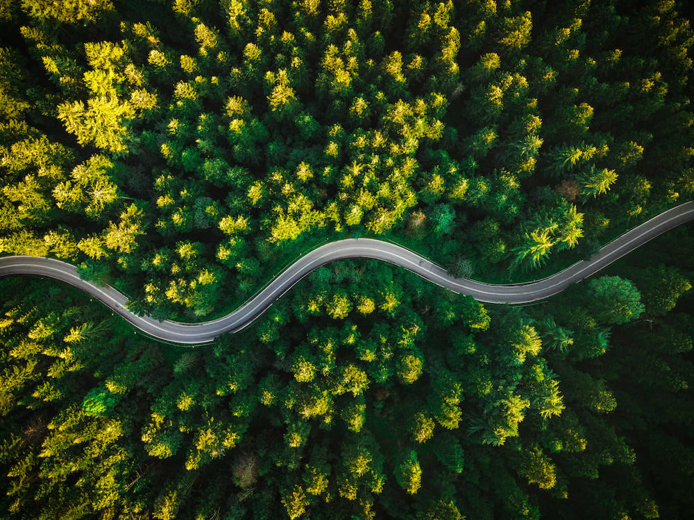 A road winds through a forrest seen from above