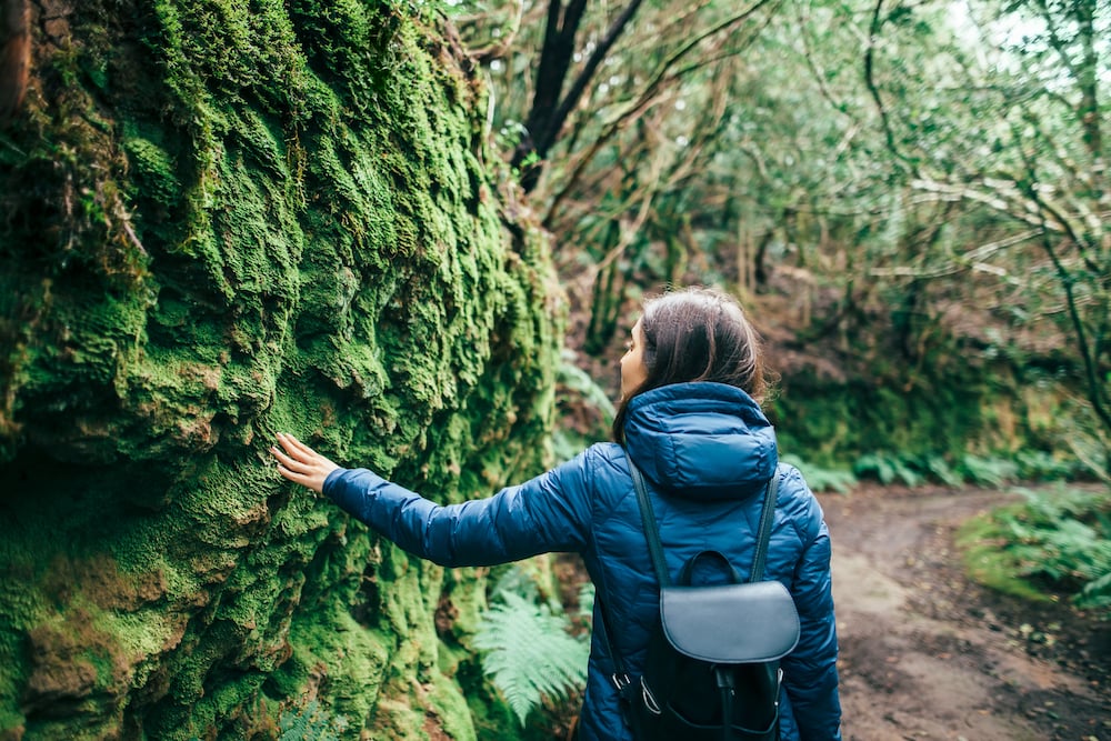 A woman walks through a forrest and touches a green rock structure