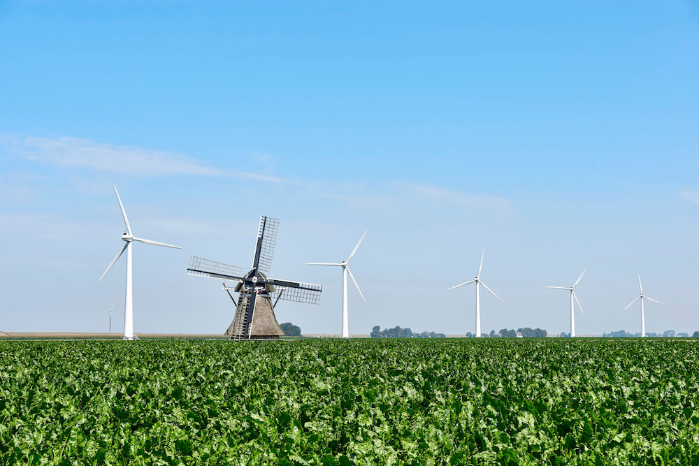 Eine altmodische Windmühle umgeben von Windrädern. 