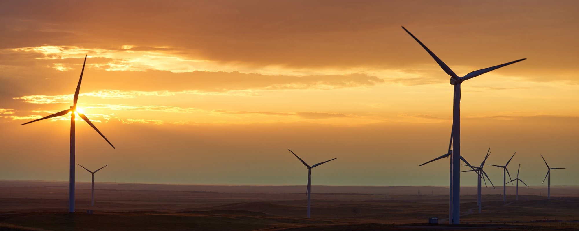 Microsoft-Copilot-Webinar-Windräder-Emails