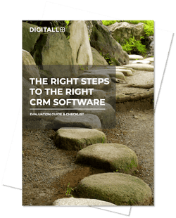 Cover Preview: The right steps to the right CRM software and a path made of stones. 